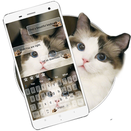 Cute Cat Keyboard