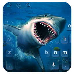 Ocean Shark Keyboard