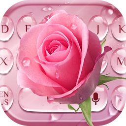 Pink Rose Water Drop Keyboard