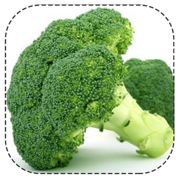 خواص دارویی کلم بروکلی