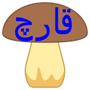 خوراک قارچ