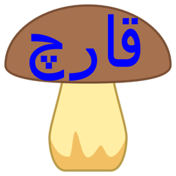 خوراک قارچ