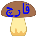 mushromfood