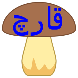 mushromfood