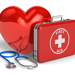 Principles of first aid and CPR