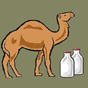Treatment of diseases withcamelmilk