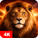 Lion Wallpapers 4K