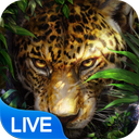 Leopard Live Wallpaper