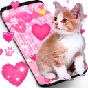 Cute pink kitty live wallpaper