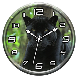 Black Panther Clock Live WP