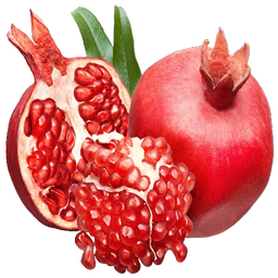 freshfood