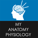 آناتومی و فیزیولوژی بدن