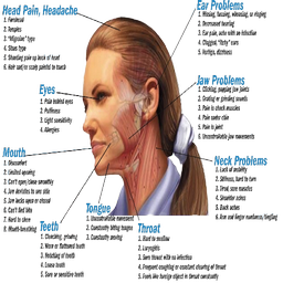headeach