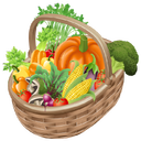 vegtablefood