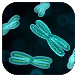 میتوز و میوز