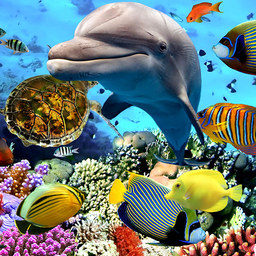 Aquarium Fish Live Wallpaper 2019