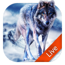 Ice Wolf Live Wallpaper