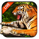 Tiger Live Wallpaper 2018