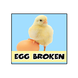 تخم مرغ شکسته
