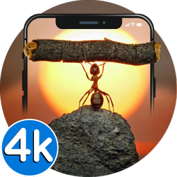 🐻 Animal Wallpapers HD | 4K Animal Backgrounds