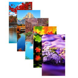 Backgrounds HD Wallpaper 4K