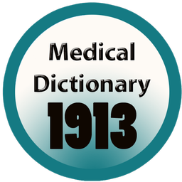 1913 Medical Dictionary