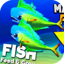 Fish feed and Grow Tricks