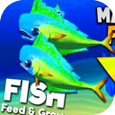 Fish feed and Grow Tricks