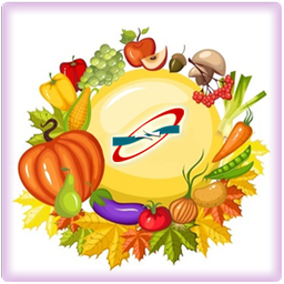 دستورات آشپزی تبیان