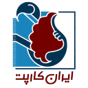 ایران کارپت | قیمت و خرید فرش