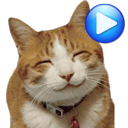 ANIMATED WAstickerApps Cats an