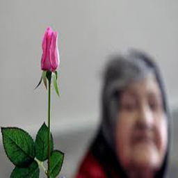 بهداشت و درمان سالمندان