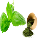 طب گیاهی