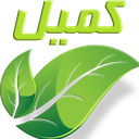 دعای کمیل