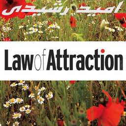 Law of Attraction