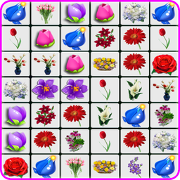 Onet Flowers