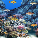 Abubu ocean live wallpaper