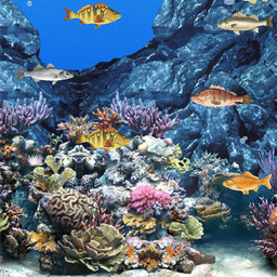 Abubu ocean live wallpaper