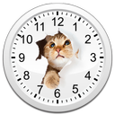 Cats Analog-Clocks Widget