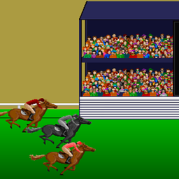 Flat Race Horse Racing