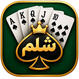 پاسور شلم
