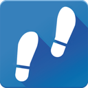 Pedometer pro