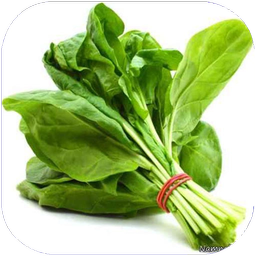 اسفناج