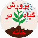 پرورش گیاه در خانه