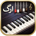 ارگ حرفه ای