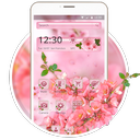 Pink Flowers Blossom