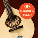 Master Mandolin Tuner