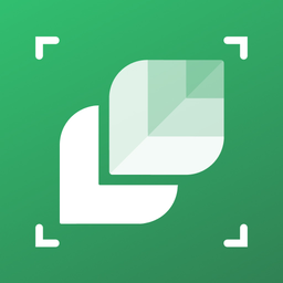 Plant Identifier: LeafSnap