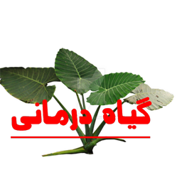 گیاه درمانی