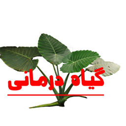 گیاه درمانی